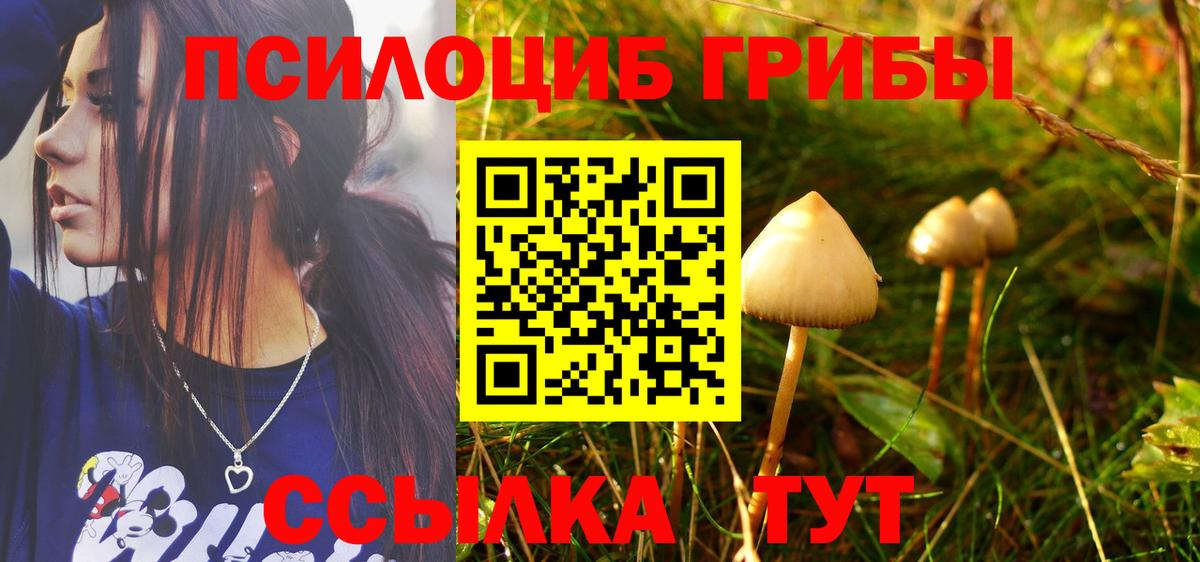 купить  цена  Псилоцибиновые грибы прущие грибы  Вход с VPN  Каспийск 